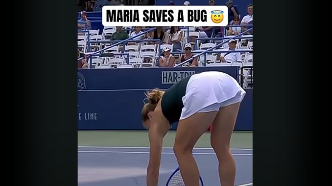Maria Sakkari Maria Sakkari