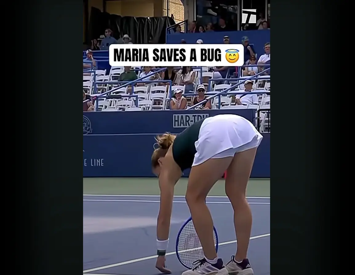 Tenistja Sakkari ndalë lojën shpëton një insekt në fushë, por... 1 Maria Sakkari