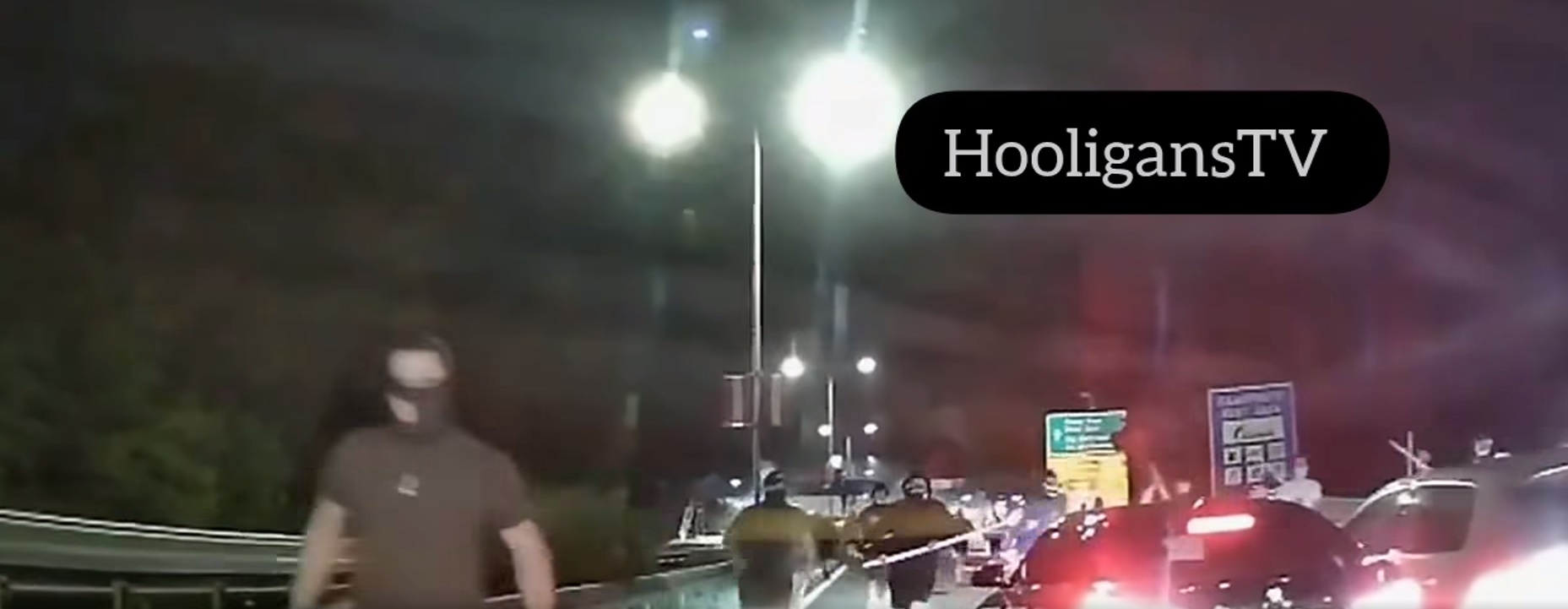 Delije