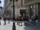 Polakët neë Beograd