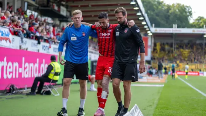 Toplar bilan mushukdagi dik fotosurati