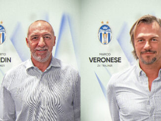 Bordin - Veronese