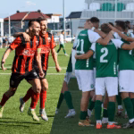 Vëllaznimi, Feronikeli