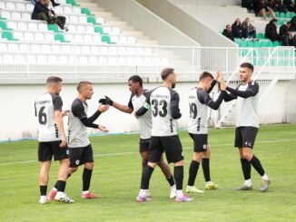FC Feronikeli