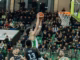 Trepça – Basketball Braunschweig