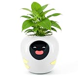 Roboti i azhurnuar i Plantbot për mbjelljen e vazove të mëdha të luleve me inteligjencë artificiale, ekran të temperaturës së kohës dhe animacione të shumta ekspresive të bazuara, për dekorime të brendshme, dhurata (e bardhë)