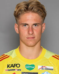 Harald Postl