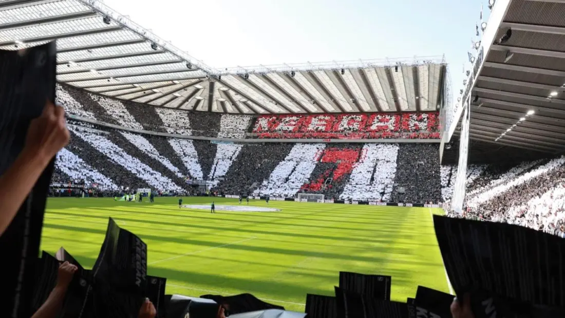 Fushat e Premier League: Kështu ndërtohen fushat e futbollit
