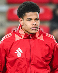 Raphaël Le Guen