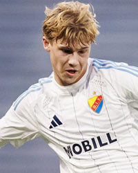 Theo Bergvall