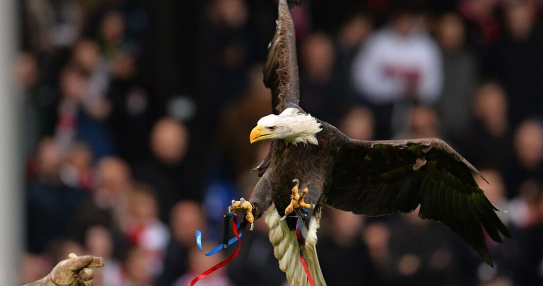 Premier League: Peta Synon të Ndajë Fitoren nga Adler Phoenix në Stadiumin e Futbollit