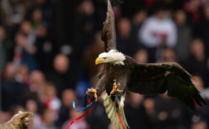 Premier League: Peta Synon të Ndajë Fitoren nga Adler Phoenix në Stadiumin e Futbollit